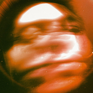 成人动漫在线观看
